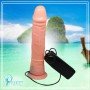 Hands-free Remote Controlled Penis Masturbator RSV-084