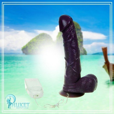 Mr. Realistic Vibrator V1 RSV-026