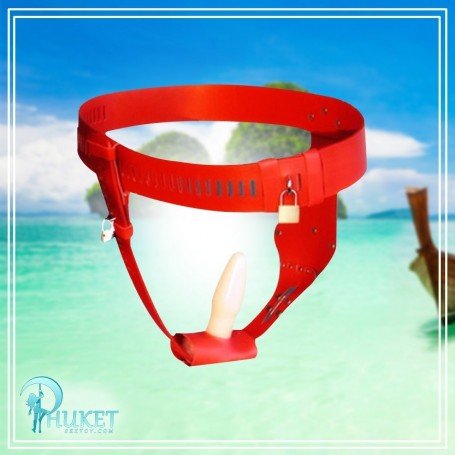 Chastity Lock Device for Women BDSM-002
