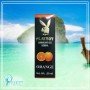 Playboy Lubricant Water Based Gel - Orange Flavoured CGS-033