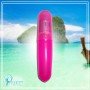 Pleasure Centre Bullet Vibrator BV-022