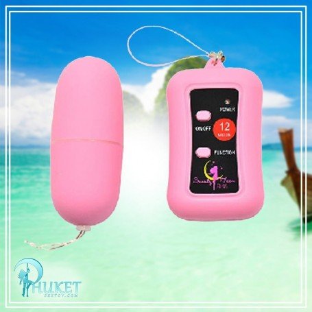Remote Control Vibrating Egg BV-003